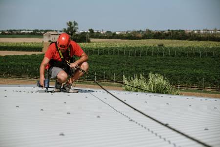 Valor de la persona y de la vida